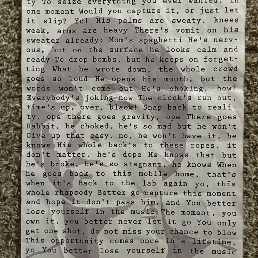 Eminem canvas/plastic poster
